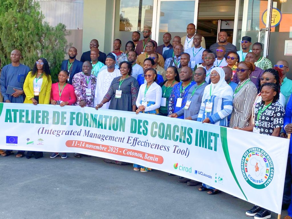 a3617da6-17ae-43f5-bf20-a7ddf963a7ce-1024x768