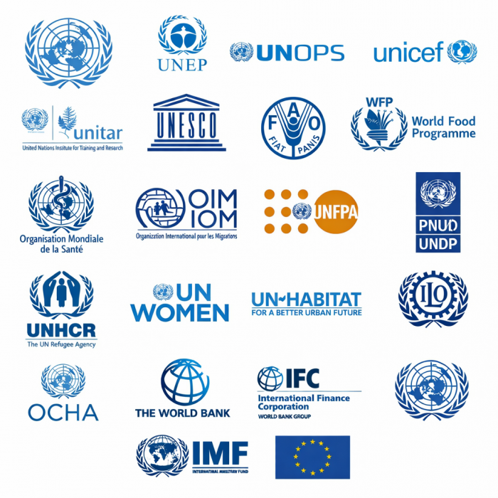 Organisations internationales et agences de l’ONU