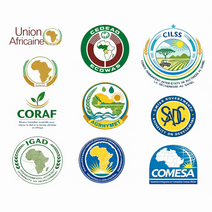 ONG internationales et fondations